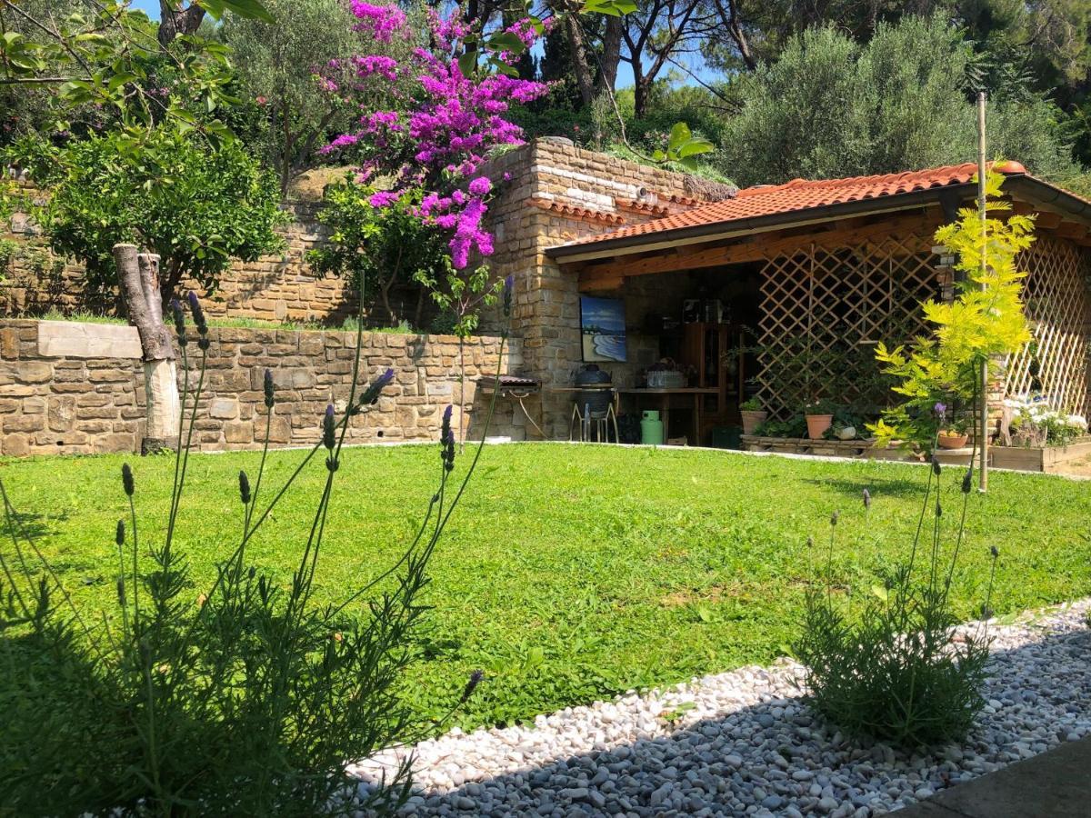 Apartment Vrenjak Πορτορόζ Εξωτερικό φωτογραφία