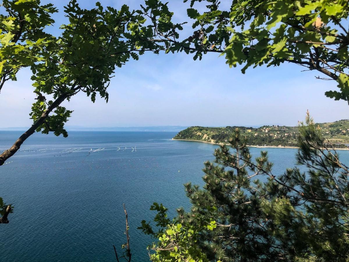 Apartment Vrenjak Πορτορόζ Εξωτερικό φωτογραφία