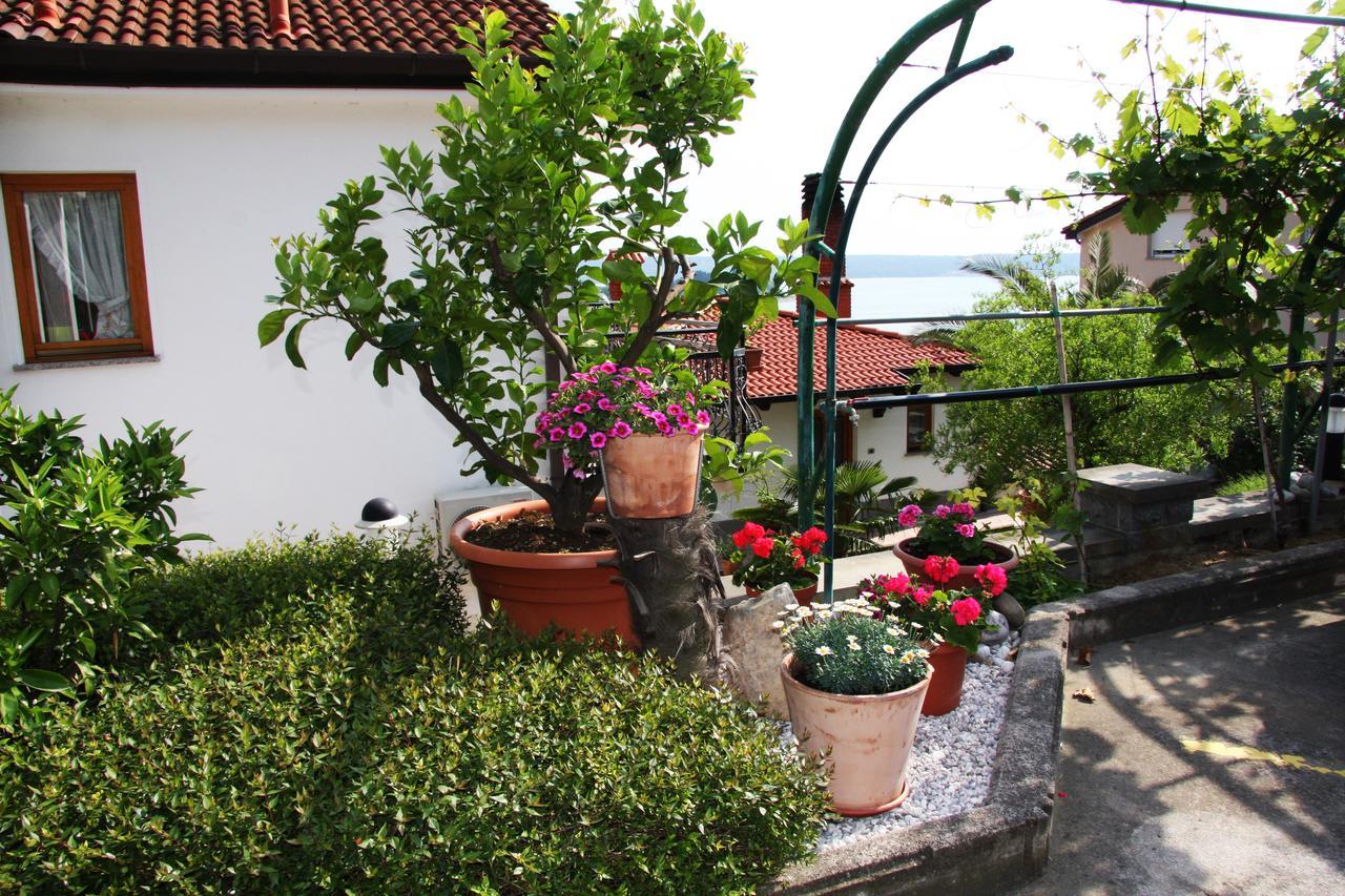 Apartment Vrenjak Πορτορόζ Εξωτερικό φωτογραφία
